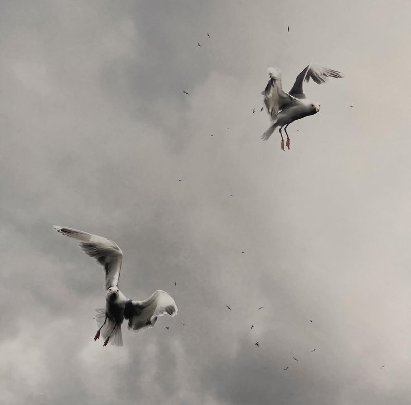 They have sought out many inventions #6 3/15