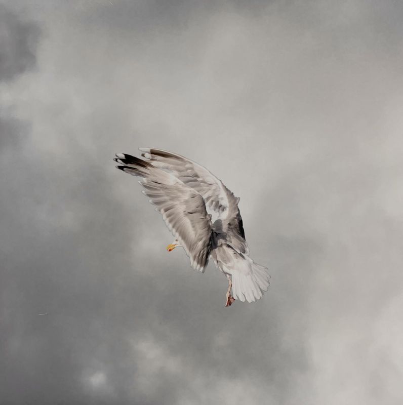 They have sought out many inventions #14 2/15