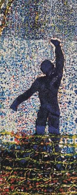 Hovedbilde Svømmer 41/100