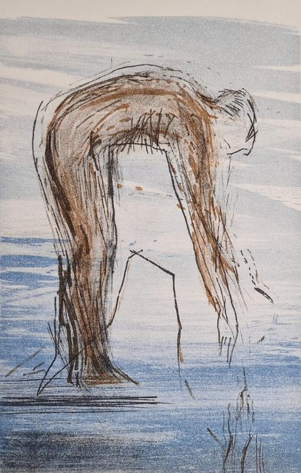 Hovedbilde Dive 183/200