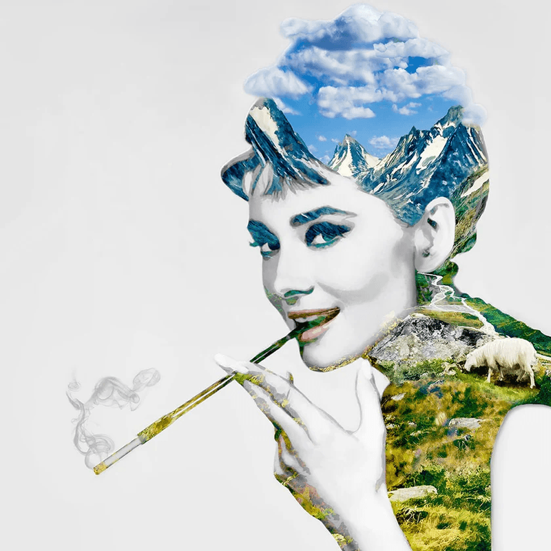 The sheep on Hepburns shoulder 41/100