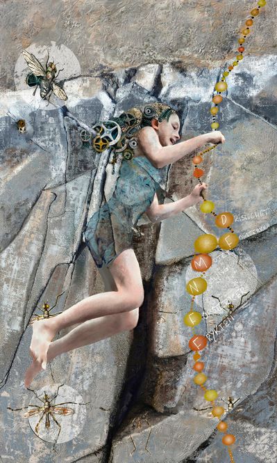 Hovedbilde Dristig 14/50