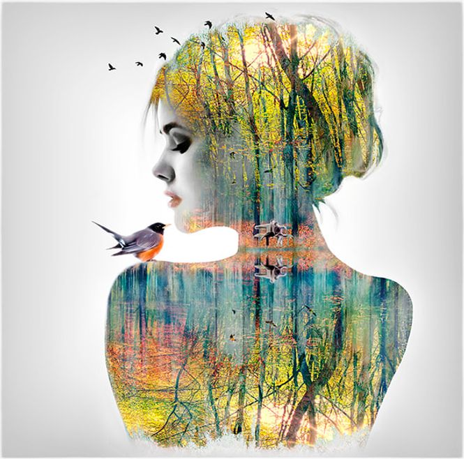 Hovedbilde Høst 30/50