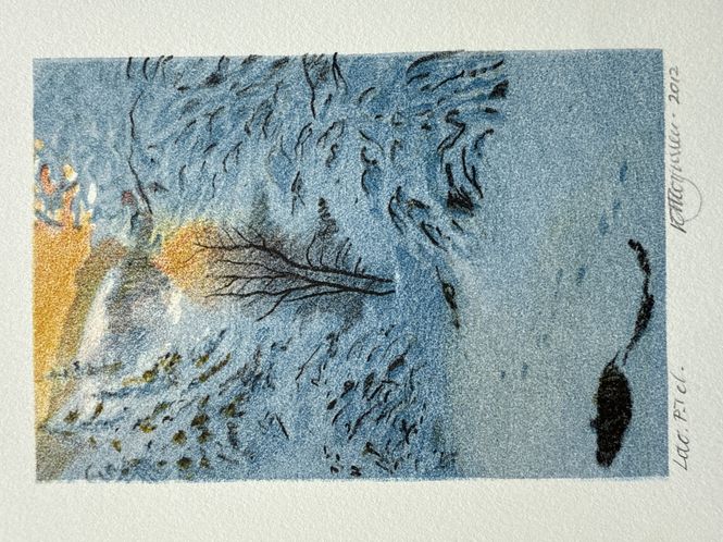 Hovedbilde Små lito