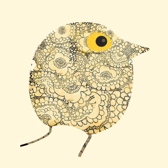 Hovedbilde Drodla 12/100