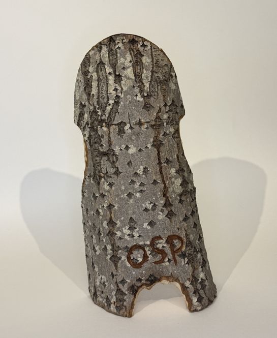 Hovedbilde Vagina, treskulptur