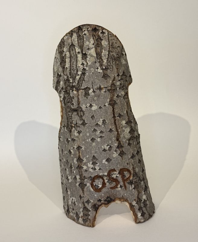 Vagina, treskulptur