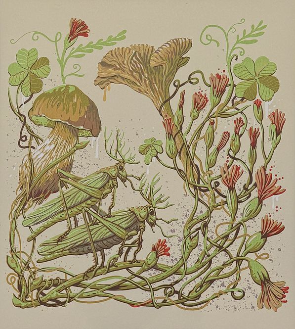 Hovedbilde Solstizio 6/50