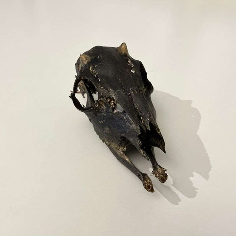 Hjort - liten 2