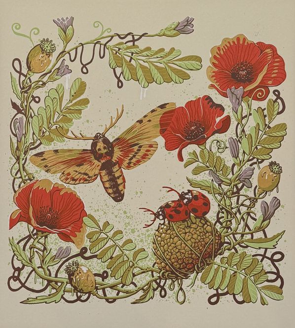 Hovedbilde Nebbiolo Croche 7/50